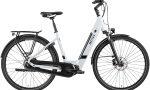 besv ct2.1 ls | PEDAL. Fietsenwinkel Venlo