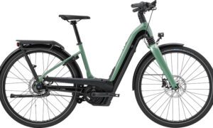 Cannondale Mavaro Neo 2 Low step Thru